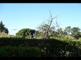 P1020717.JPG