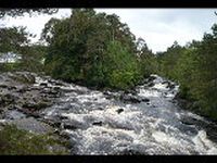 P1030055.JPG