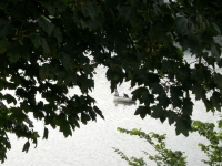 lin-palace-blick.jpg