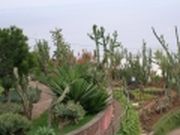 bg11.JPG