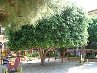 castle-campell.jpg